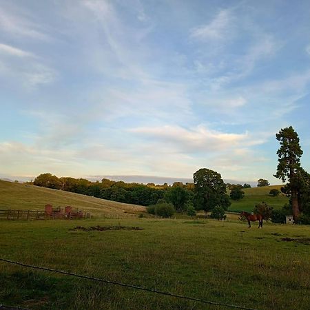 The Stables At Eriviat Hall Henllan  ภายนอก รูปภาพ