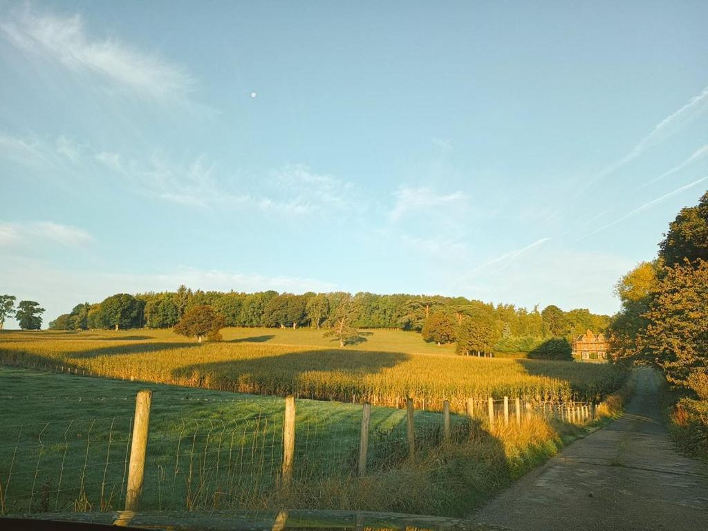 The Stables At Eriviat Hall Henllan  ภายนอก รูปภาพ
