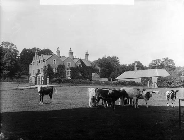 The Stables At Eriviat Hall Henllan  ภายนอก รูปภาพ